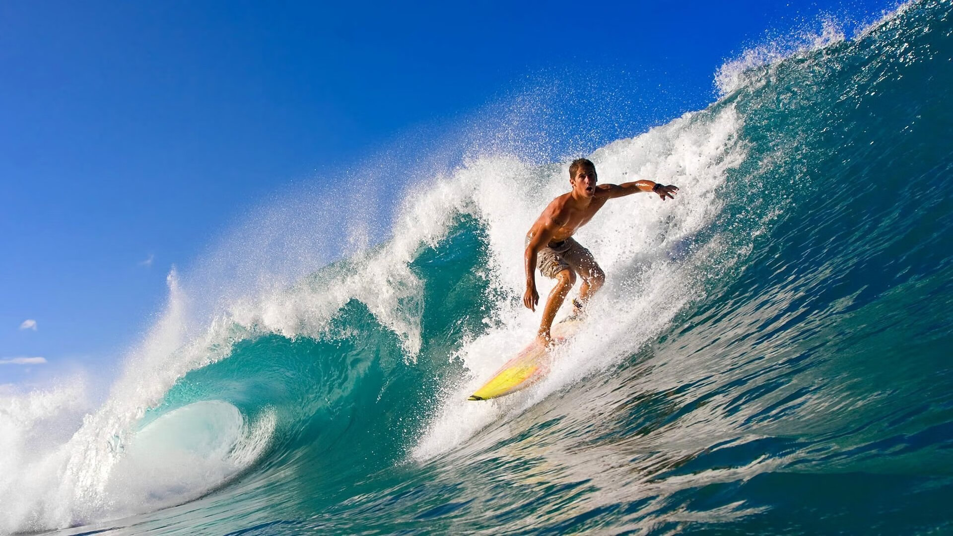 匈男泳队自由泳技术稳定高效,2021男子自由泳决赛