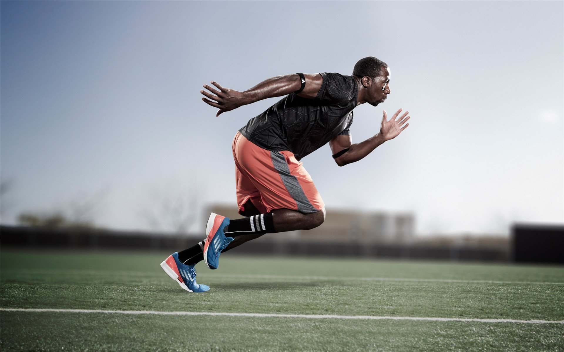 华体会hth登录-荷兰水球男队展现团队战斗力，荷球被称为荷兰式的篮球