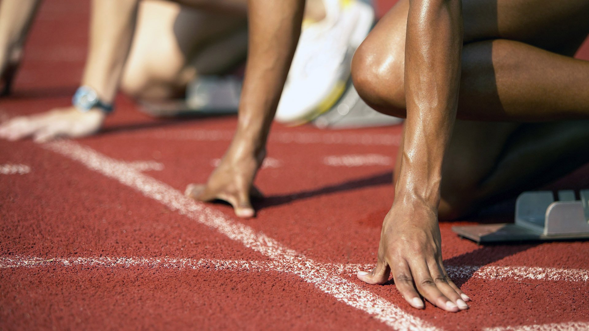 多国代表齐聚“丝路电商日”,共话数字经济未来