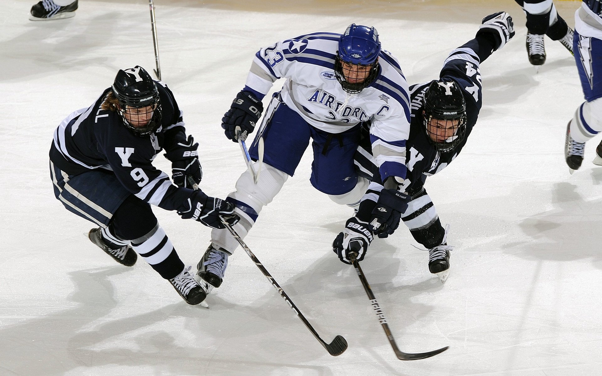 俱乐部社群平台推出球迷创作内容激励计划,各俱乐部球迷的昵称